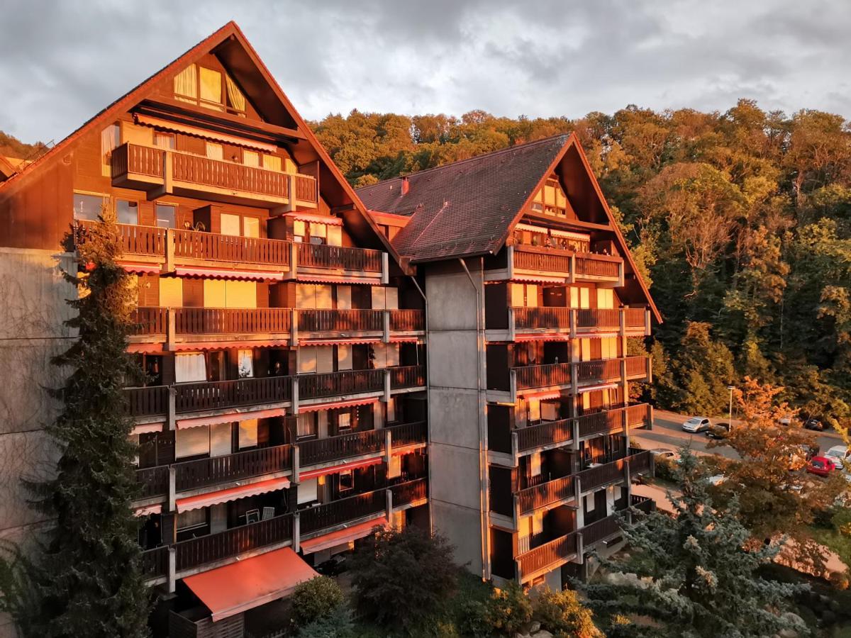 Gaishoell-Wasserfaelle Apartment Schwarzwald Засбахвальден Экстерьер фото
