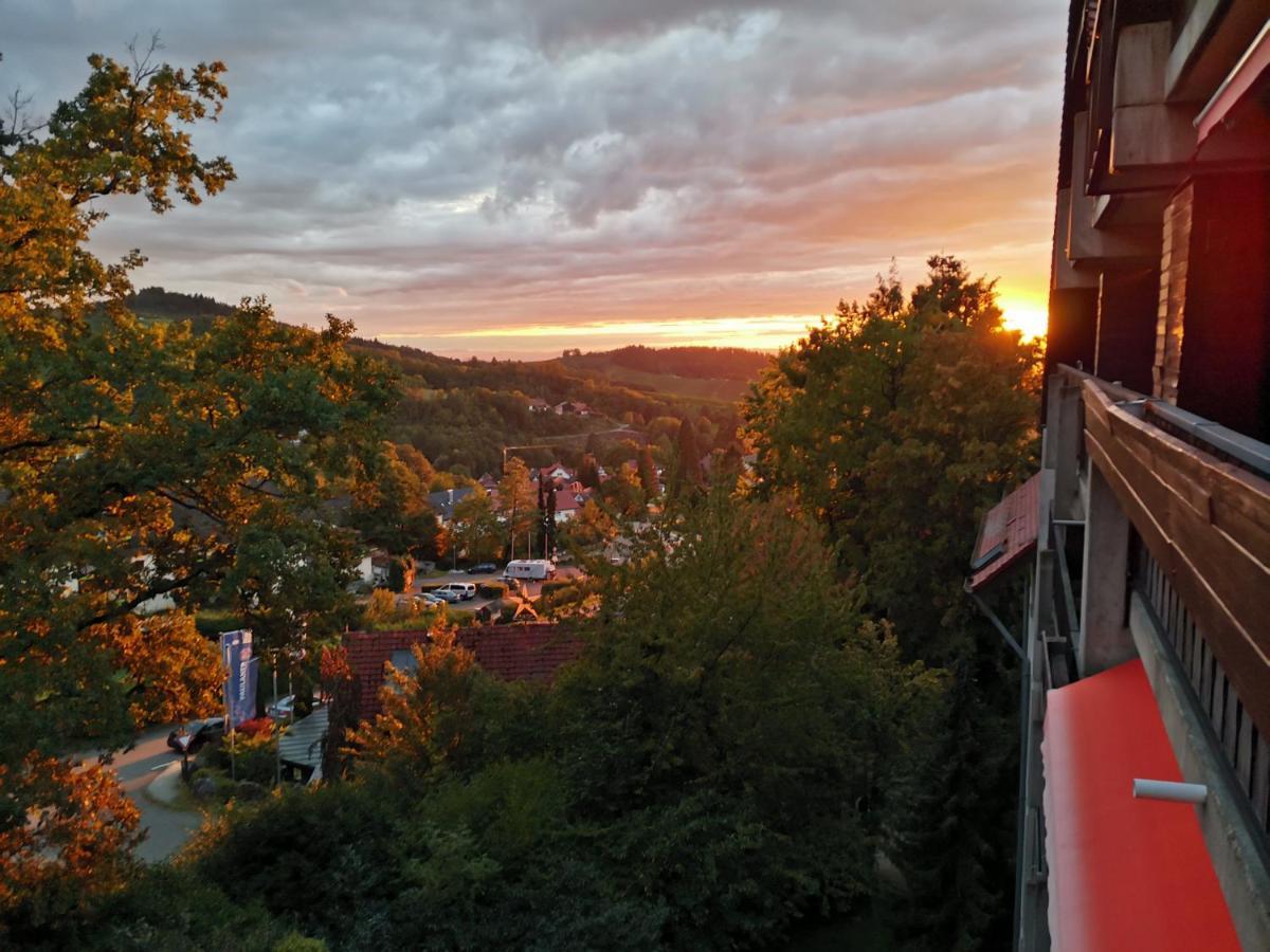 Gaishoell-Wasserfaelle Apartment Schwarzwald Засбахвальден Экстерьер фото