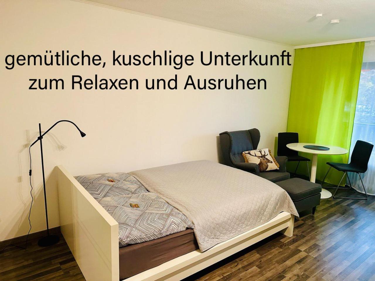 Gaishoell-Wasserfaelle Apartment Schwarzwald Засбахвальден Экстерьер фото